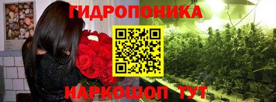 гидра Заводоуковск