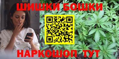 гидра Заводоуковск