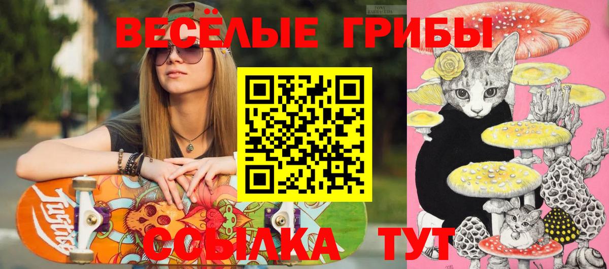 Галлюциногенные грибы GOLDEN TEACHER Новошахтинск