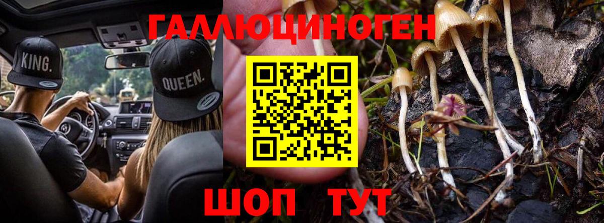 Псилоцибиновые грибы ЛСД  Вход с VPN  Новошахтинск  купить наркотики цена  Галлюциногенные грибы MAGIC MUSHROOMS 