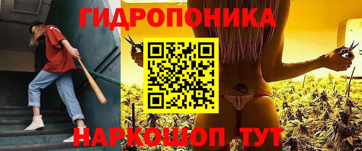 Шишки марихуана сатива  МАРИХУАНА VHQ  Новошахтинск  Вход с VPN 